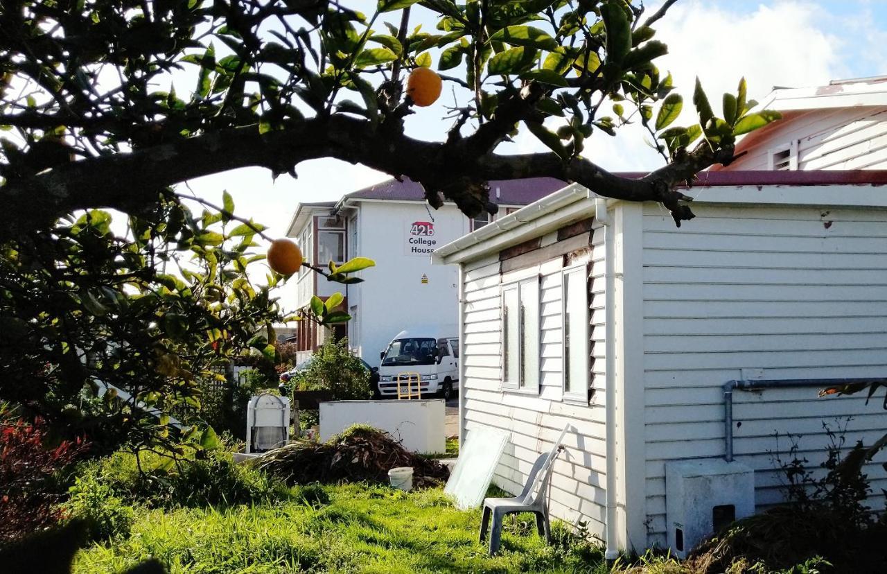 Hostel 42B College House Whanganui Exterior foto